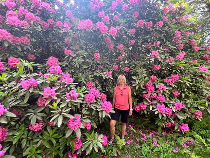 23-06-03 17-21-05 5823